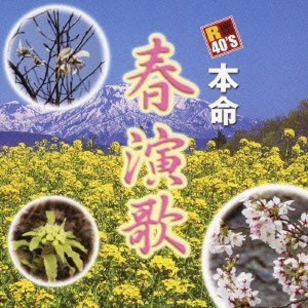 画像1: R40’S 本命春演歌/オムニバス [CD] (1)