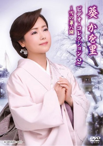 画像1: 葵かを里ビデオ・コレクション2~雪の兼六園/葵かを里 [DVD] (1)