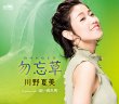 画像2: 川野夏美 新曲『勿忘草』配信ミニライブ＆インターネットサイン会！【4月17日楽園堂YouTubeチャンネル】 (2)