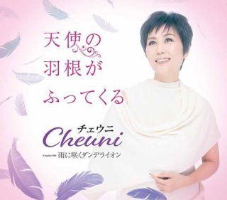 チェウニ 蒼空の神話 悲しみは人生じゃないよ チェウニ Cd 楽園堂 演歌 歌謡曲のcd カセットテープ カラオケdvdの通販ショップ