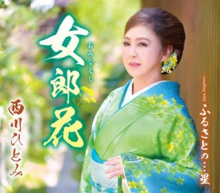 西川ひとみ-西川ひとみシングルコレクション/西川ひとみ [DVD