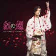 画像1: 紅の蝶【海盤/太鼓盤】/山内惠介 [CD] (1)