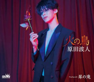 木村徹二-みだれ咲き【特別盤】/木村徹二 [CD]-【楽園堂】演歌・歌謡曲