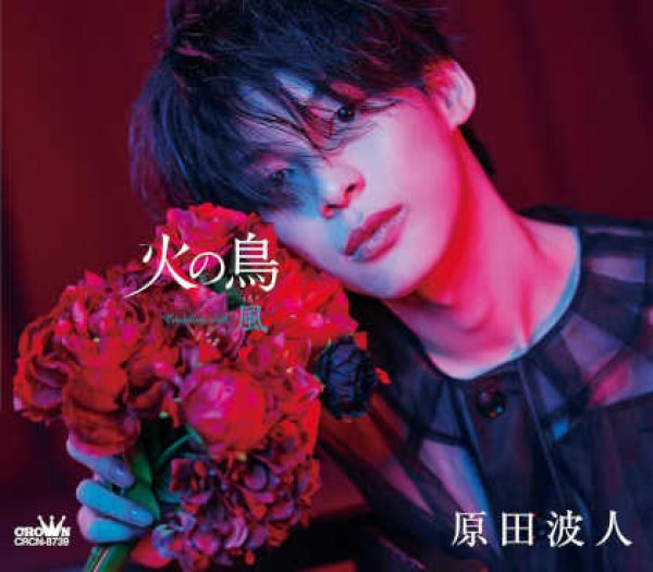 画像2: 火の鳥【タイプA/タイプB】/原田波人 [CD] (2)