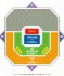 画像2: 【電話注文専用】丘みどり両国国技館特別公演 花道 コンサートチケット 2025年9月6日(土) 両国国技館 (2)
