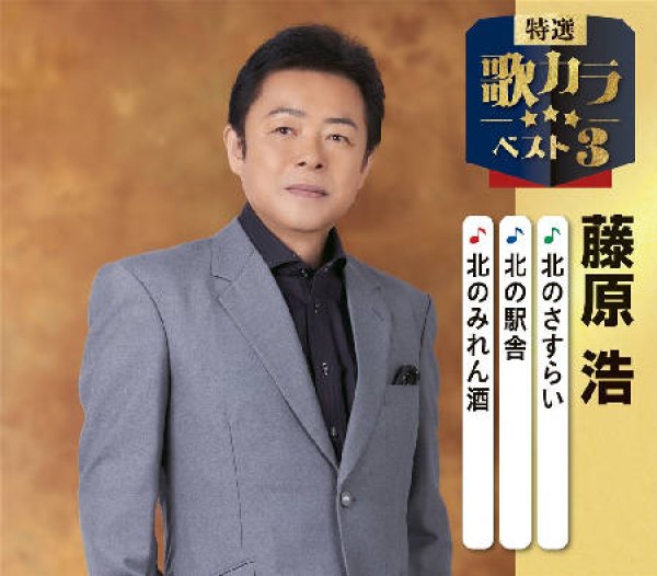 画像1: 特選・歌カラベスト3 北のさすらい/北の駅舎/北のみれん酒/藤原浩 [CD] (1)
