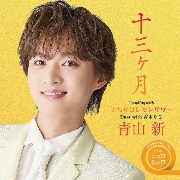 画像1: 十三ヶ月【TYPE シュワシュワ/TYPE ボロボロ/TYPE 誰(たれ)】/青山新 [CD] (1)