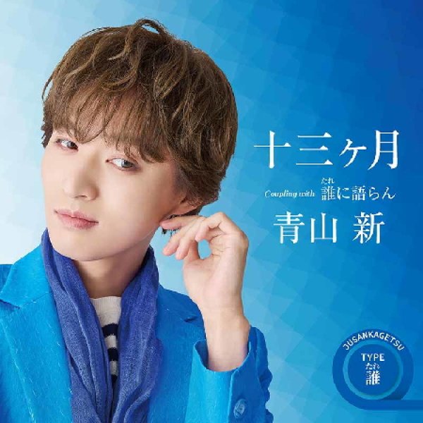 画像3: 十三ヶ月【TYPE シュワシュワ/TYPE ボロボロ/TYPE 誰(たれ)】/青山新 [CD] (3)